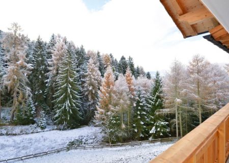 Apartment-Fuchsmauer-suedtirol-plose