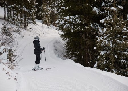FORESTIS Ski in Ski out 6