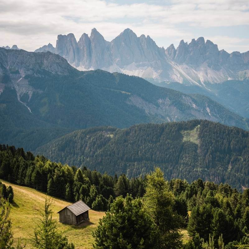 Natur pur Plose Brixen Dolomites