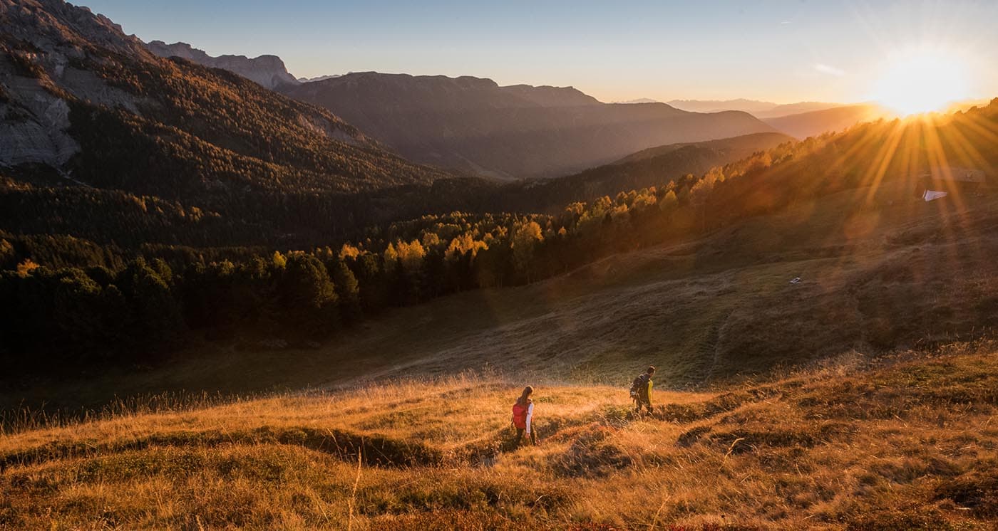 Plose Brixen Gefuehrte Wanderungen 2