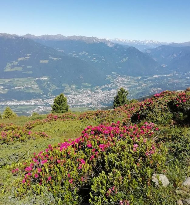 Round trail hike across the Plose Peak to the lodge Ochsenalm