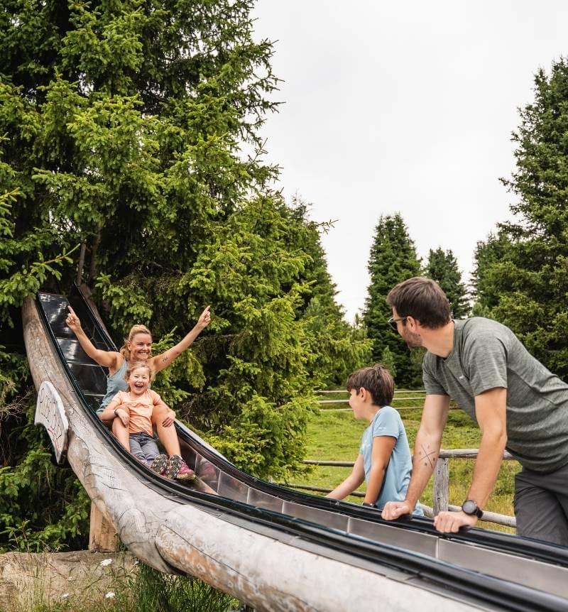 WoodyWalk Familienwanderweg Plose Brixen Dolomites