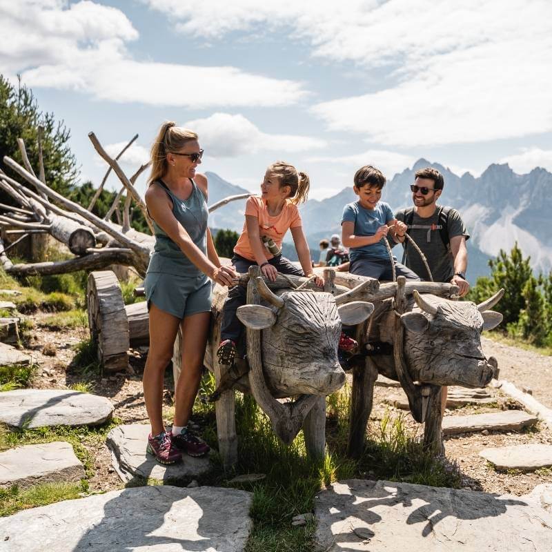 WoodyWalk Familienwanderweg Plose Brixen Dolomites