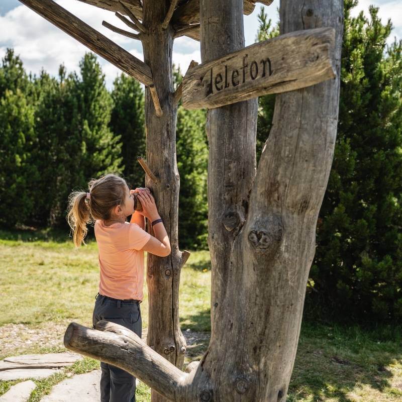 WoodyWalk Familienwanderweg Plose Brixen Dolomites