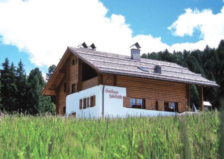 halslhuette2009 1 1