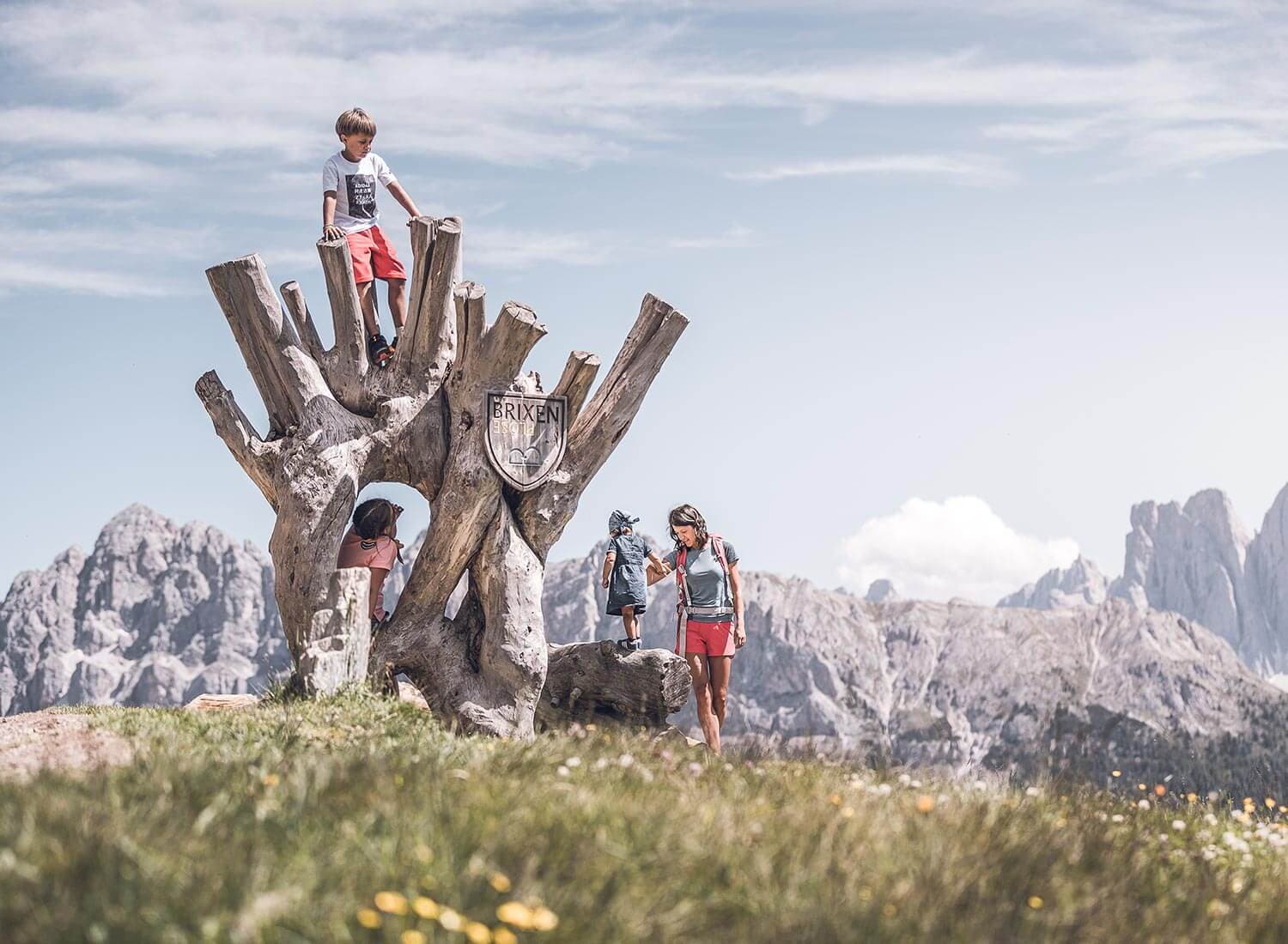 woodywalk plose brixen woodywalk plose brixen