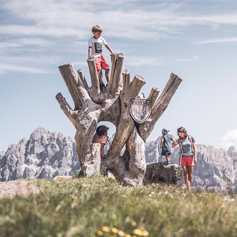 woodywalk sommer plose brixen familienberg